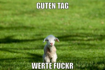 guten tag tag werte fuckr