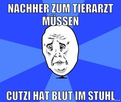 nachher zum tierarzt müssen cutzi hat blut im stuhl