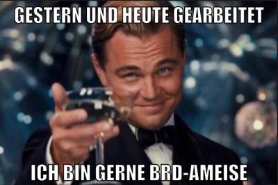 GESTERN UND HEUTE GEARBEITET ICH BIN GERNE BRD-AMEISE