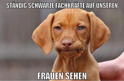 Ständig schwarze Fachkräfte auf unseren frauen sehen