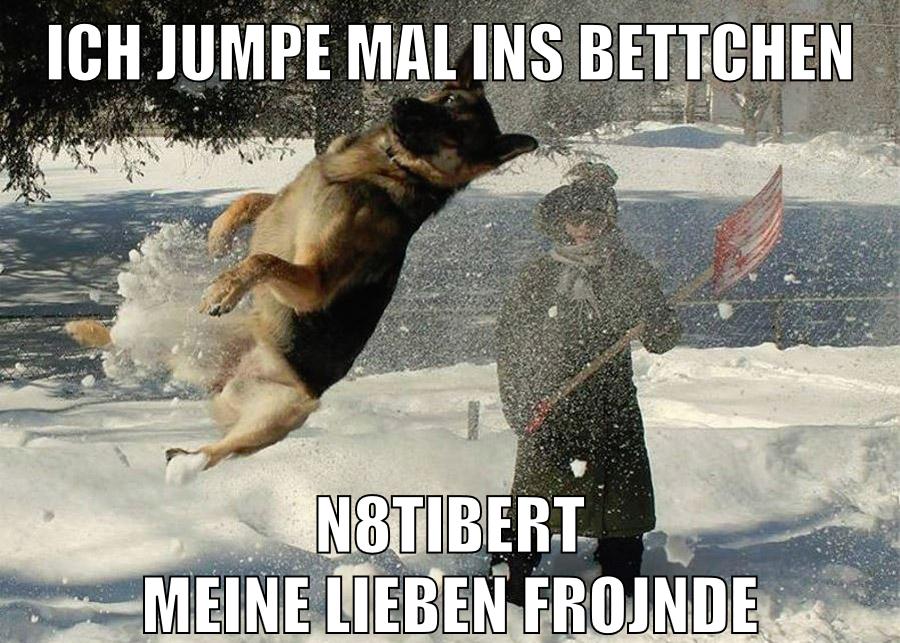 ich jumpe mal ins bettchen n8tibert meine lieben frojnde