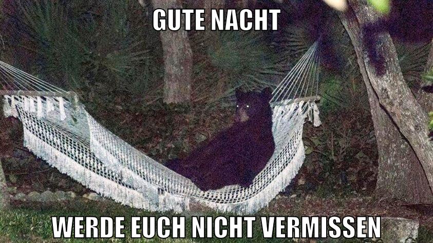 gute nacht werde euch nicht vermissen