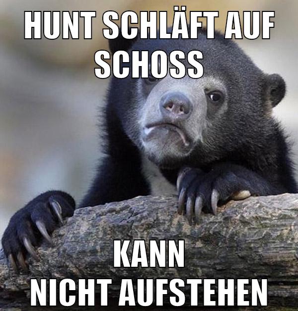 hunt schläft auf schoß kann nicht aufstehen