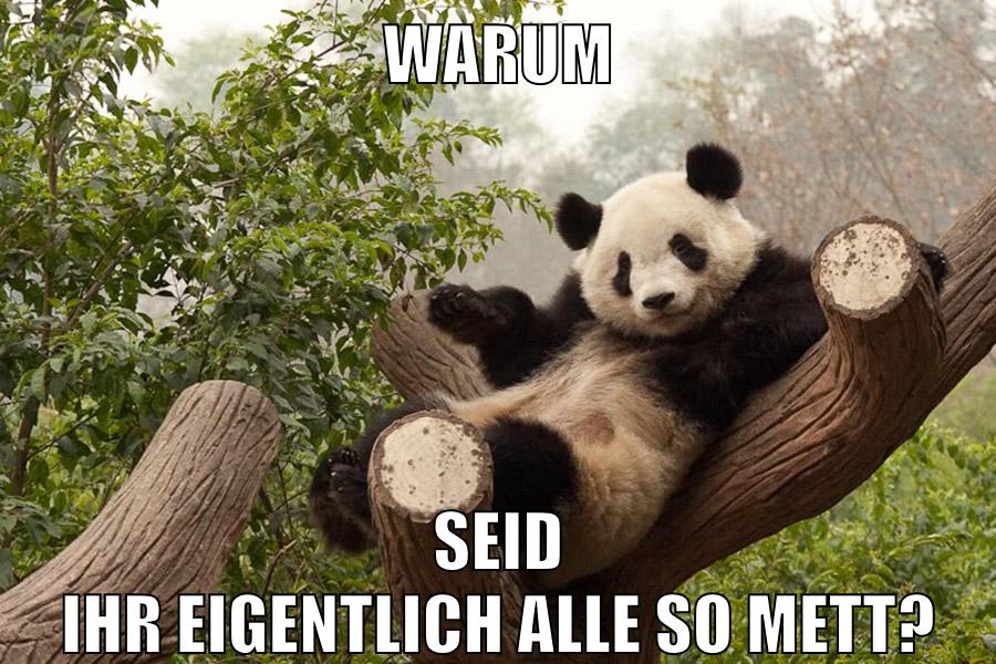 Warum Seid ihr eigentlich alle so mett?