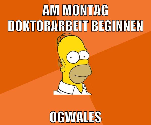 am montag doktorarbeit beginnen ogwales
