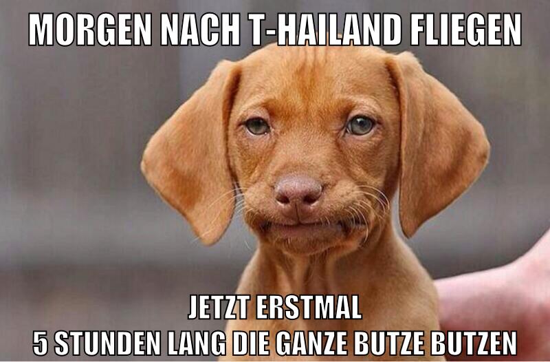 morgen nach t-hailand fliegen jetzt erstmal 5 stunden lang die ganze butze butzen