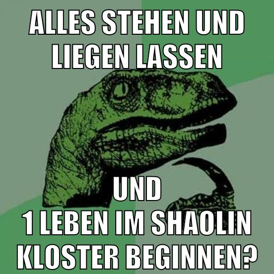 alles stehen und liegen lassen und 1 leben im shaolin kloster beginnen?