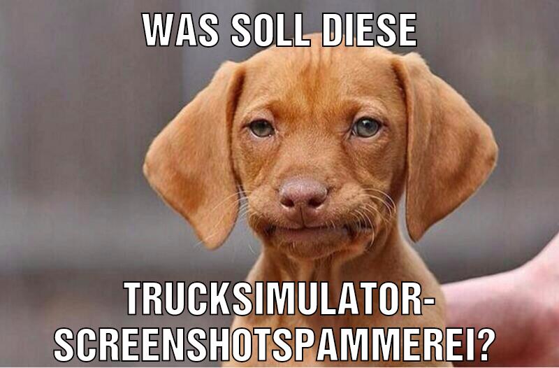 Was soll diese Trucksimulator- screenshotspammerei?