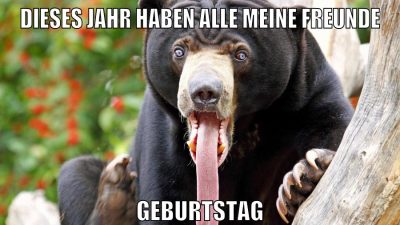 dieses jahr haben alle meine freunde geburtstag