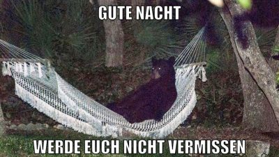 gute nacht werde euch nicht vermissen