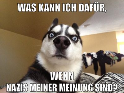 Was kann ich dafür, wenn nazis meiner meinung sind?
