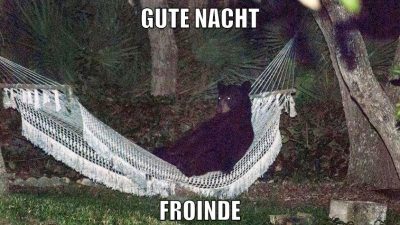 gn