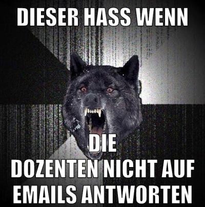 DIESER HASS WENN DIE DOZENTEN NICHT AUF EMAILS ANTWORTEN