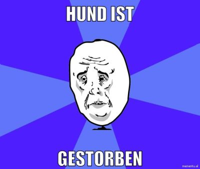 hund ist gestorben