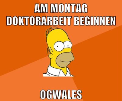 am montag doktorarbeit beginnen ogwales