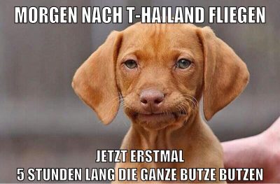 morgen nach t-hailand fliegen jetzt erstmal 5 stunden lang die ganze butze butzen
