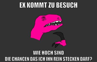 ex kommt zu besuch wie hoch sind die chancen das ich ihn rein stecken darf?