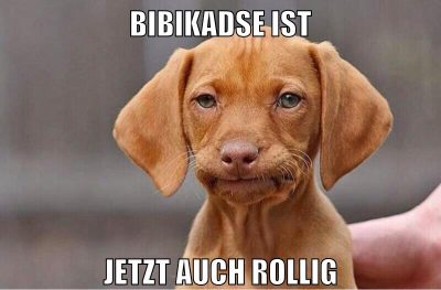 bibikadse ist jetzt auch rollig