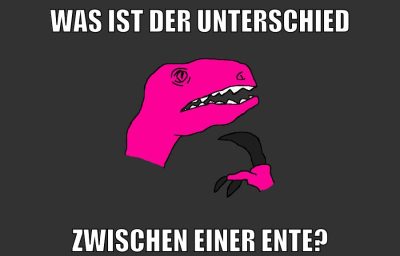 Was ist der unterschied zwischen einer Ente?