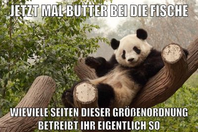 jetzt mal butter bei die fische wieviele seiten dieser größenordnung betreibt ihr eigentlich so