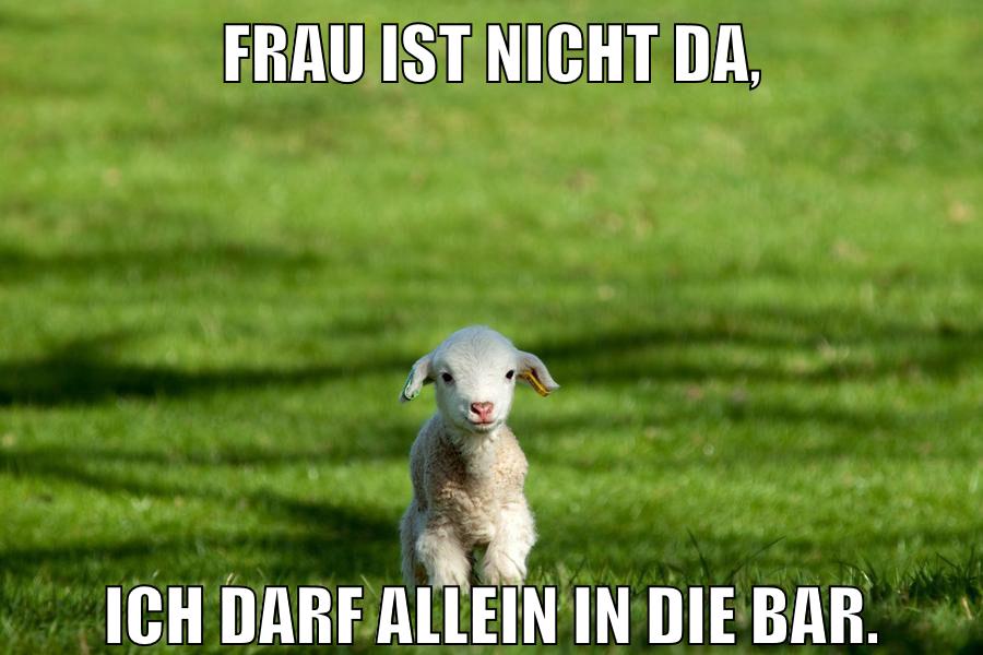 Frau ist nicht da, ich darf allein in die bar.