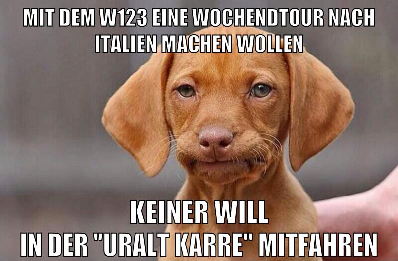 Mit dem w123 eine Wochendtour nach italien machen wollen Keiner will in der "uralt karre" mitfahren