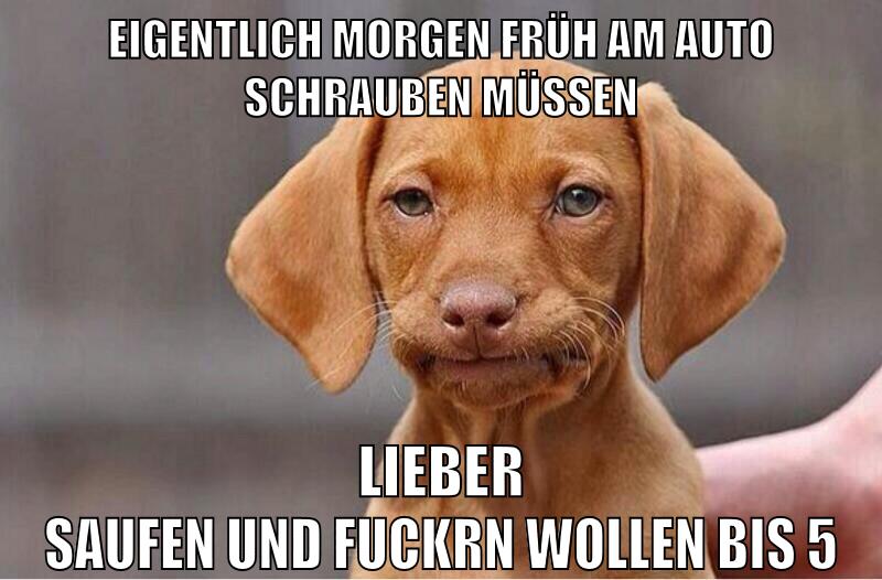 eigentlich morgen früh am auto schrauben müssen lieber saufen und fuckrn wollen bis 5
