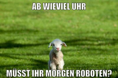 ab wieviel uhr müsst ihr morgen roboten?