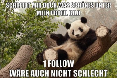 schreibt mir doch was schönes unter mein profil bild 1 follow wäre auch nicht schlecht