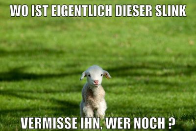wo ist eigentlich dieser slink vermisse ihn, wer noch ?
