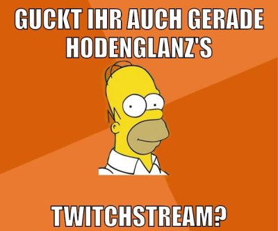 guckt ihr auch gerade hodenglanz's twitchstream?