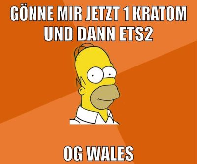 gönne mir jetzt 1 kratom und dann ets2 og wales