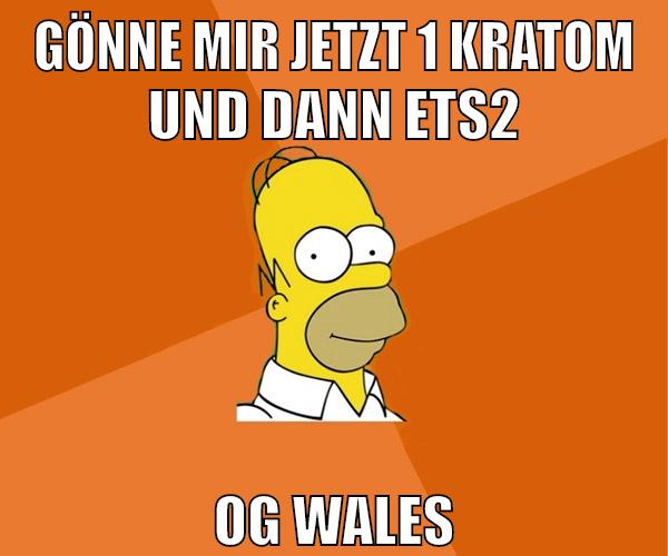 gönne mir jetzt 1 kratom und dann ets2 og wales