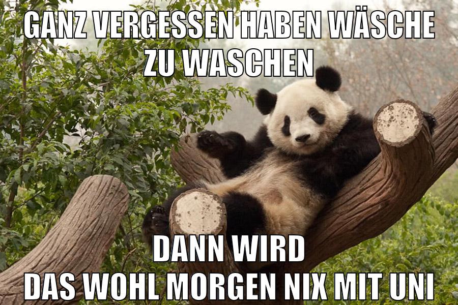 ganz vergessen haben wäsche zu waschen dann wird das wohl morgen nix mit uni