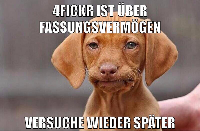 4fickr ist über fassungsvermögen versuche wieder später