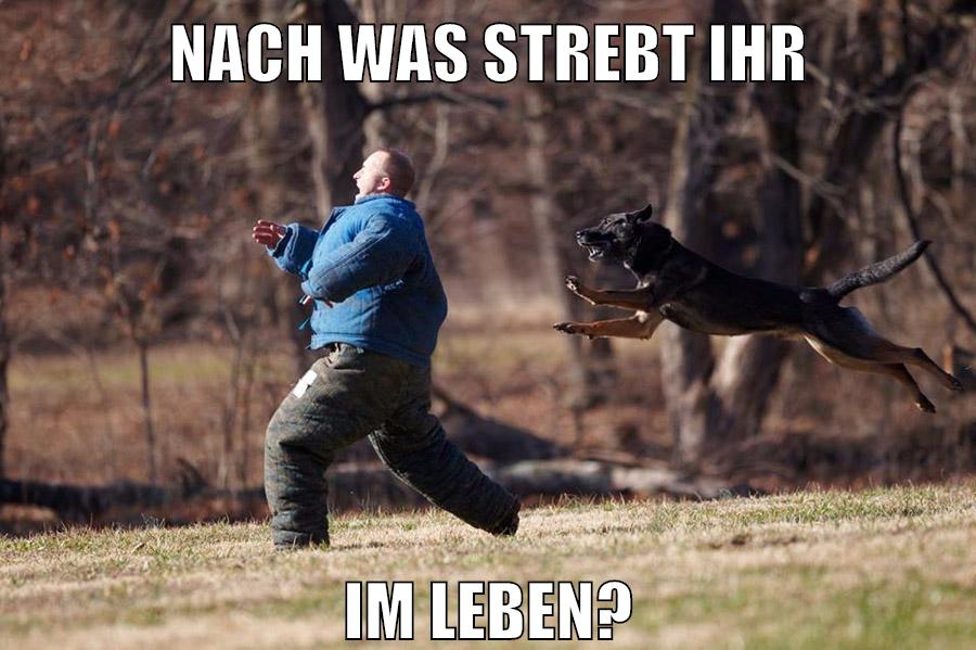 Nach was strebt ihr im Leben?
