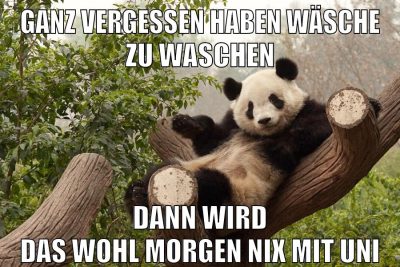 ganz vergessen haben wäsche zu waschen dann wird das wohl morgen nix mit uni