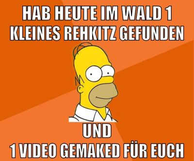 hab heute im wald 1 kleines rehkitz gefunden und 1 video gemaked für euch