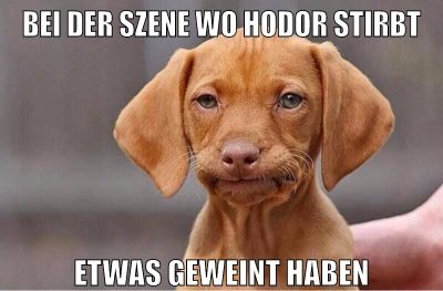 halt das tor hodor
