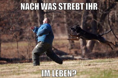 Nach was strebt ihr im Leben?