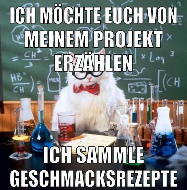 Ich möchte euch von meinem Projekt erzählen Ich sammle Geschmacksrezepte