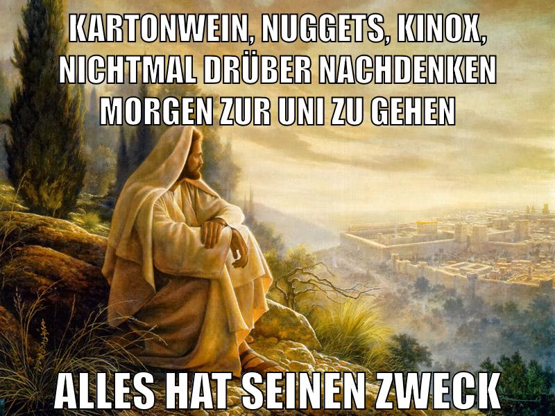 Kartonwein, Nuggets, Kinox, nichtmal drüber nachdenken morgen zur uni zu gehen alles hat seinen zweck