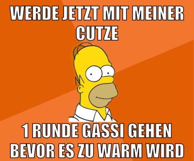 werde jetzt mit meiner cutze 1 runde gassi gehen bevor es zu warm wird