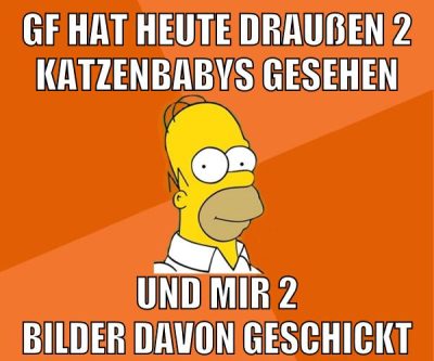 gf hat heute draußen 2 katzenbabys gesehen und mir 2 bilder davon geschickt