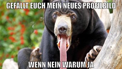 marina und pr0gramm stinken