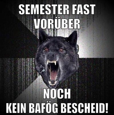 Semester fast vorüber Noch kein BAFÖG Bescheid!