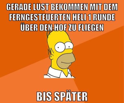 gerade lust bekommen mit dem ferngesteuerten heli 1 runde über den hof zu fliegen bis später