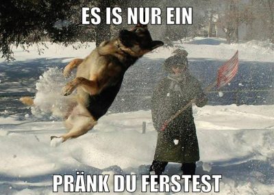 marina und pr0gramm stinken