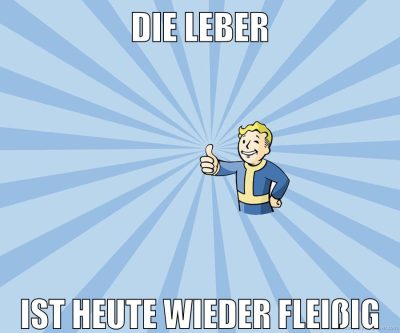 Die leber ist heute wieder fleißig
