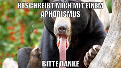 marina und pr0gramm stinken
